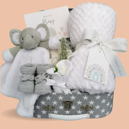 baby-hamper-gift-trunk-elephant