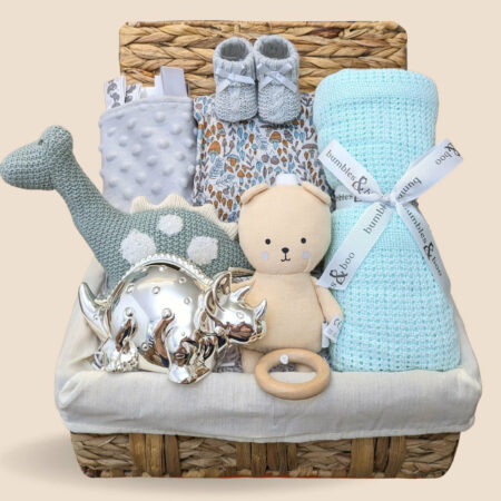 baby-boy-hamper-organic-dinosaur