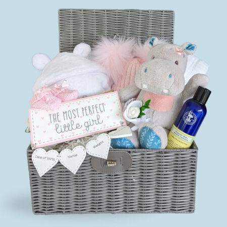 baby-gifts-basket-hungry-hippo_5