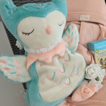 baby-girl-hamper-owl-peach_3