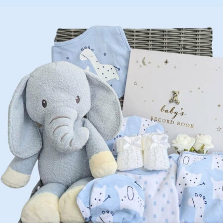 new-baby-boys-gifts-blue-elephant